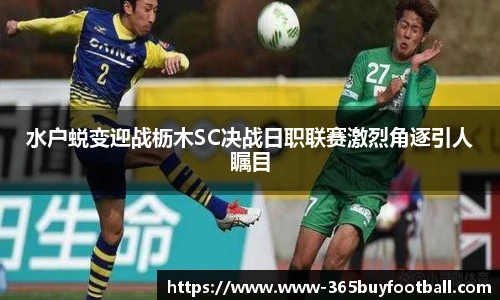 365买球网站